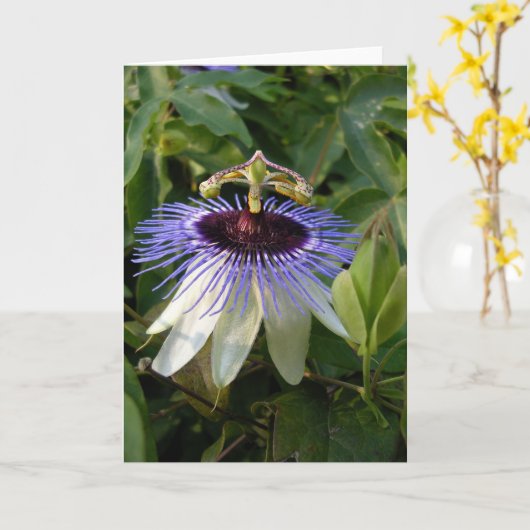 Herfst Passie Bloem Kaart (Gele Bloem)