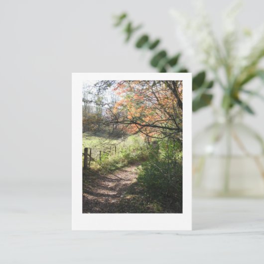 Herfst Path Briefkaart (Staand voorkant)