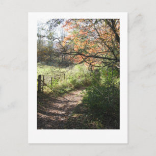 Herfst Path Briefkaart