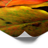 Herfst Pear Leaves Poster (Hoek)