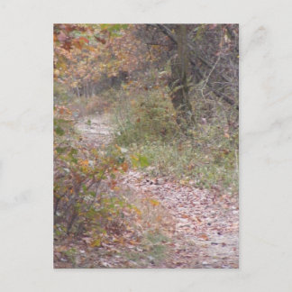 herfst pennsylvania briefkaart