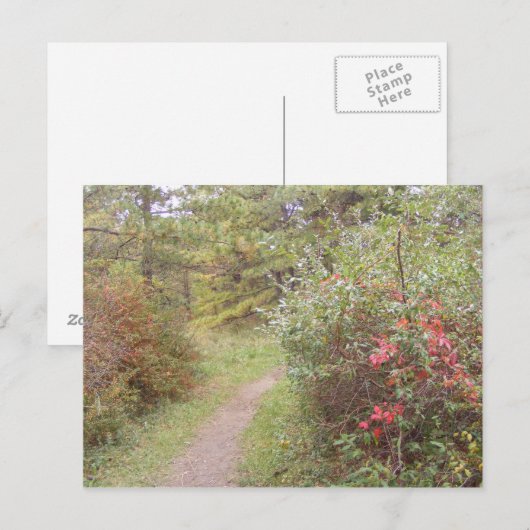 herfst pennsylvania briefkaart (Voorkant / Achterkant)