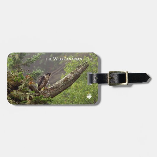 Herfst - Peregrine Falcon Bagagelabel (Voorkant horizontaal)