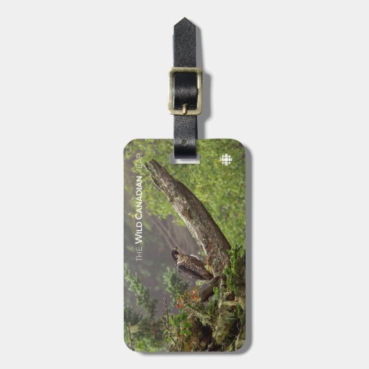 Herfst - Peregrine Falcon Bagagelabel (Voorkant verticaal)