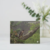 Herfst - Peregrine Falcon Briefkaart (Staand voorkant)