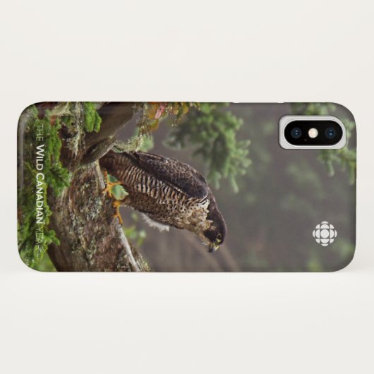 Herfst - Peregrine Falcon Case-Mate iPhone Case (Achterkant (horizontaal))