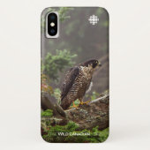 Herfst - Peregrine Falcon Case-Mate iPhone Case (Achterkant)