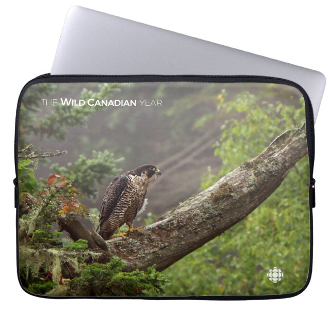 Herfst - Peregrine Falcon Laptop Sleeve (Voorkant)