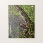 Herfst - Peregrine Falcon Legpuzzel (Verticaal)