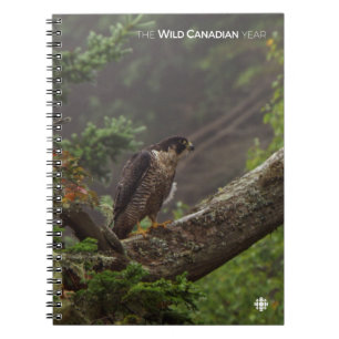 Herfst - Peregrine Falcon Notitieboek