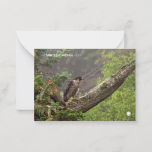 Herfst - Peregrine Falcon Notitiekaartje