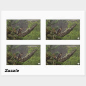 Herfst - Peregrine Falcon Rechthoekige Sticker (Vel)