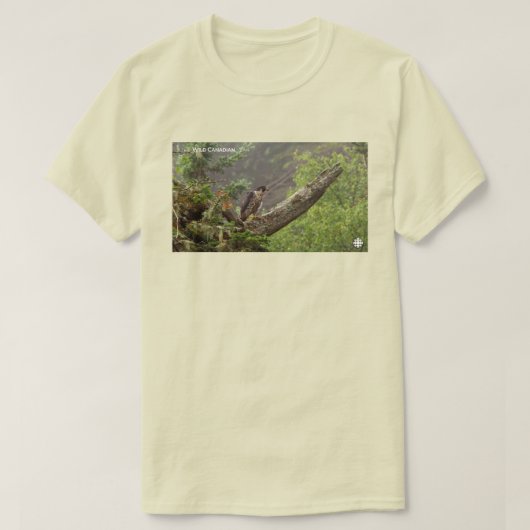 Herfst - Peregrine Falcon T-shirt (Design voorkant)