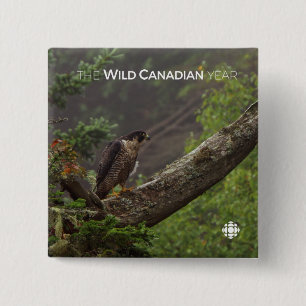 Herfst - Peregrine Falcon Vierkante Button 5,1 Cm