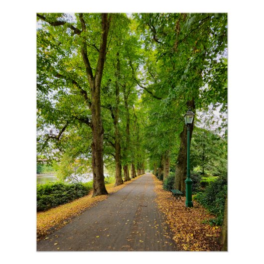 herfst perfect poster (Voorkant)