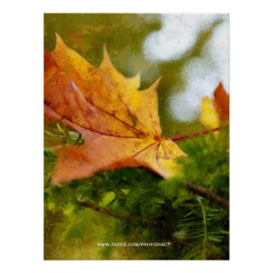 Herfst Perfect Poster