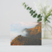 Herfst Pijnlijke wolken Briefkaart (Staand voorkant)