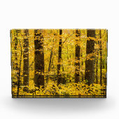 Herfst Pisgah National Forest Fotoblokken (Voorkant)