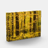 Herfst Pisgah National Forest Fotoblokken (Links)