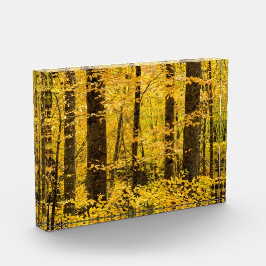 Herfst Pisgah National Forest Fotoblokken (Links)