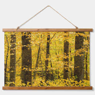 Herfst Pisgah National Forest Hangend Wandkleed