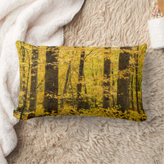 Herfst Pisgah National Forest Kussen