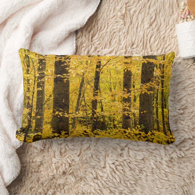 Herfst Pisgah National Forest Kussen (Deken)