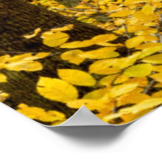 Herfst Pisgah National Forest Poster (Hoek)