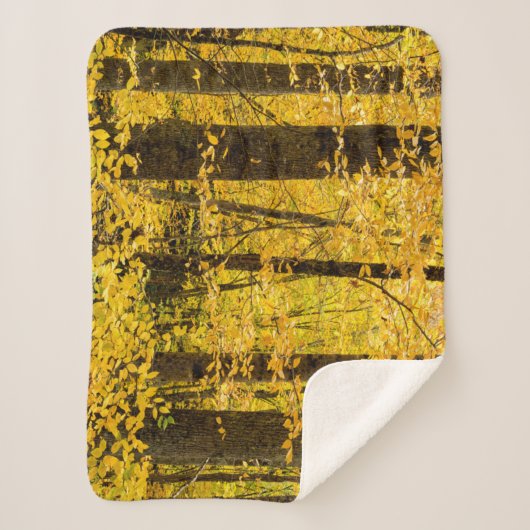 Herfst Pisgah National Forest Sherpa Deken (Voorkant)