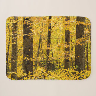 Herfst Pisgah National Forest Sherpa Deken