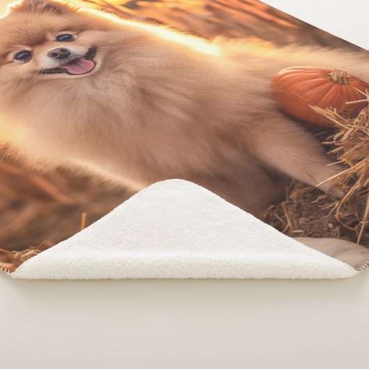 Herfst Pommerisch Sherpa Deken (3/4)