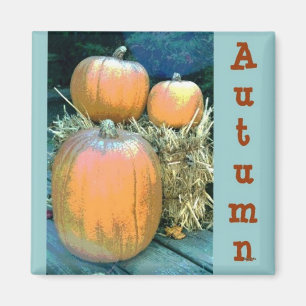 Herfst Pompoen Magneet
