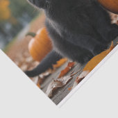 Herfst Pompoen Sweet Black kitten decoupage Tissuepapier (Detail)