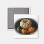 Herfst pompoenen en pompoen magneet (Voorkant / Achterkant)