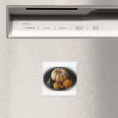 Herfst pompoenen en pompoen magneet (Insitu (Vaatwasser))