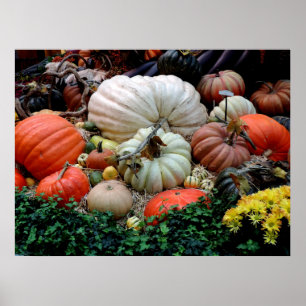 herfst pompoenen Herfst kleur bruiloft Poster