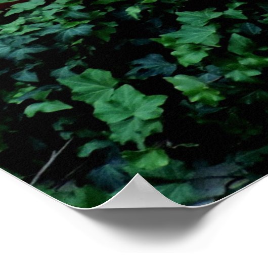 herfst pompoenen Herfst kleur bruiloft Poster (Hoek)