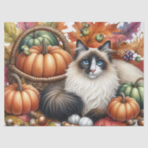 Herfst Pompoenen Herfstbladeren Cuddlekat