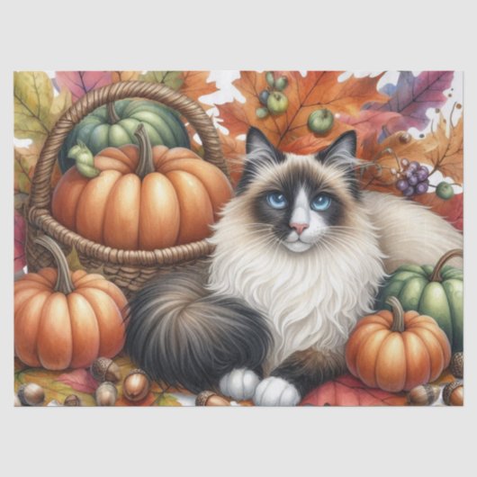 Herfst Pompoenen Herfstbladeren Cuddlekat Tissuepapier (Voorkant)