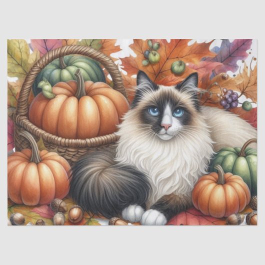 Herfst pompoenen herfstbladeren Ragdoll Cat Tissuepapier (Voorkant)