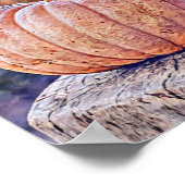 Herfst pompoenen herfstkleuren waterverf Poster (Hoek)