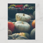 Herfst pompoenen in een rustieke tuin briefkaart (Voorkant)