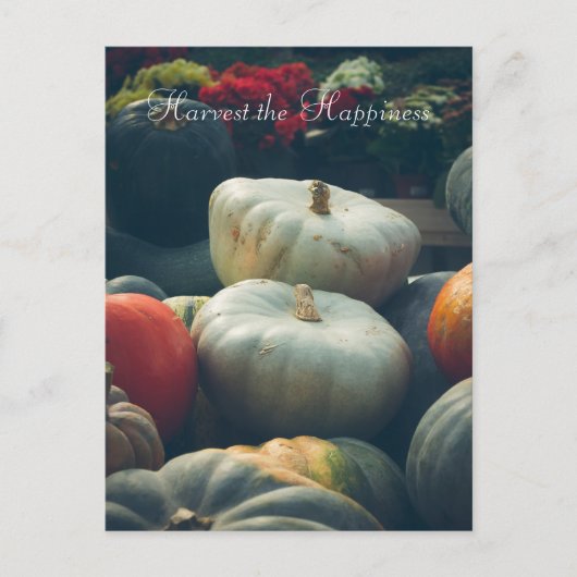 Herfst pompoenen in een rustieke tuin briefkaart (Voorkant)