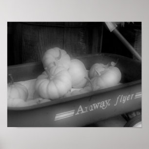 Herfst pompoenen in Wagon Black White Foto afdrukk Poster