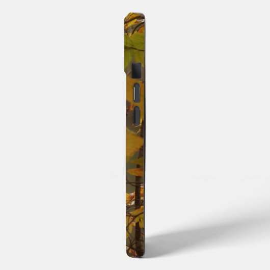 Herfst Pond met Zwan Case-Mate iPhone Case (Achterkant / Links)