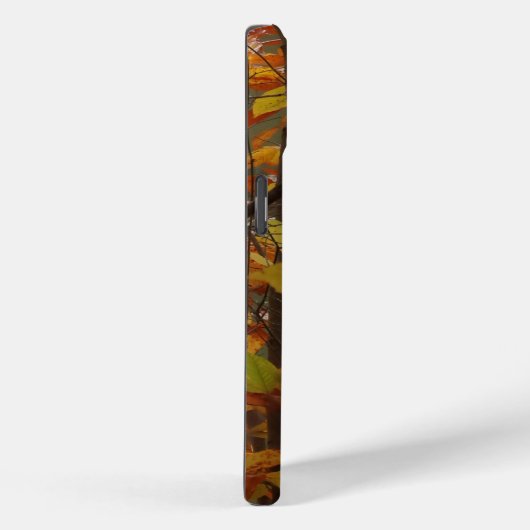 Herfst Pond met Zwan Case-Mate iPhone Case (Achterkant / Rechts)