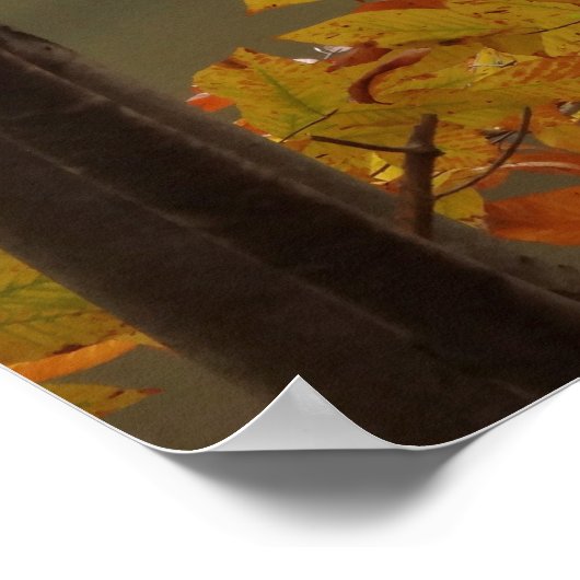 Herfst Pond met Zwan Poster (Hoek)