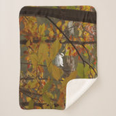 Herfst Pond met Zwan Sherpa Deken (Voorkant)