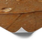 Herfst Poster (Hoek)