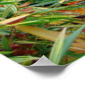 herfst poster (Hoek)